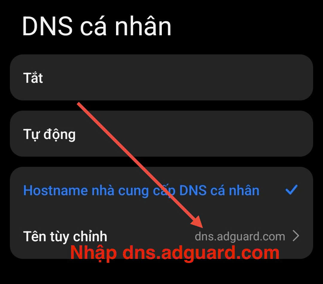 Nhập DNS